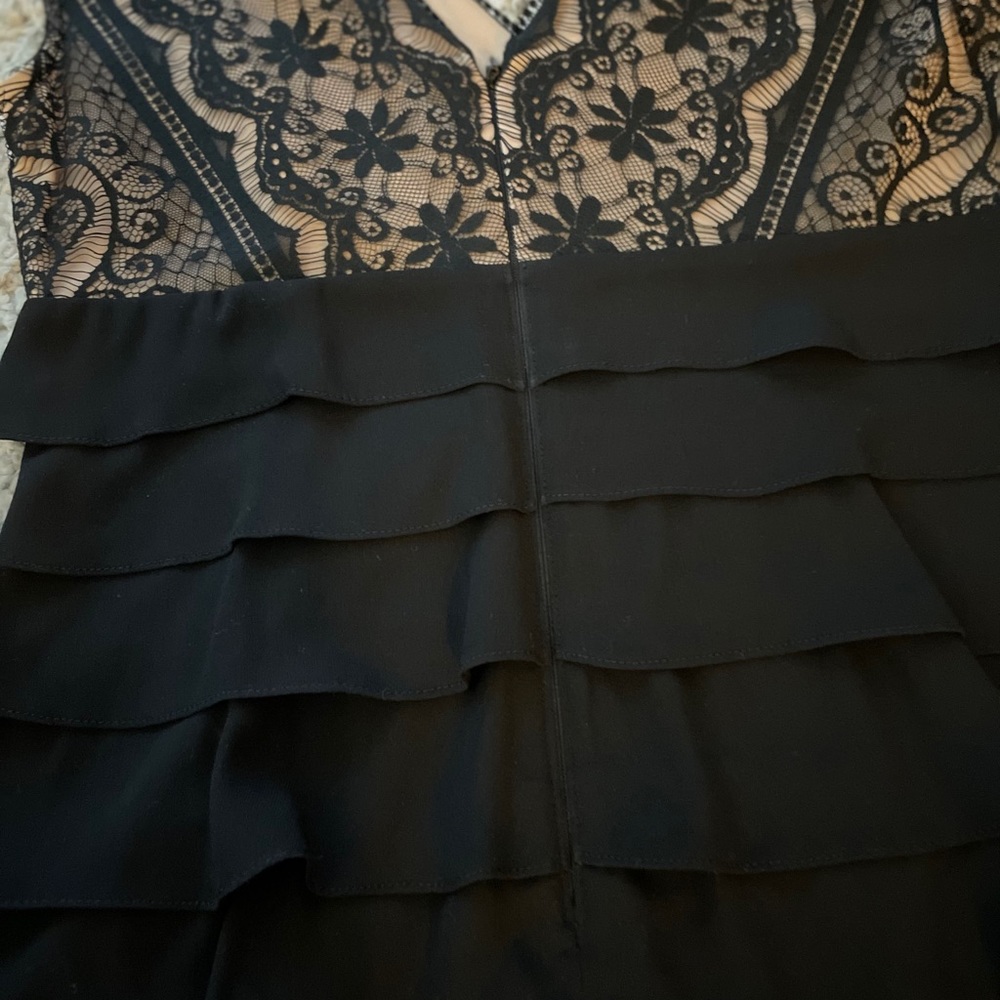 Adrianna Papell Lace Bodice Shutter Dress - Picture 8 of 16